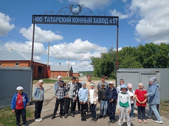 Зирекле лицееның мәктәп яны лагерында егерменче көн эмоцияләргә бай булган
