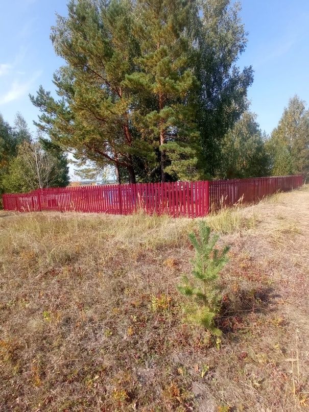 Вертубашка авылы зиратында койманы алыштырганнар
