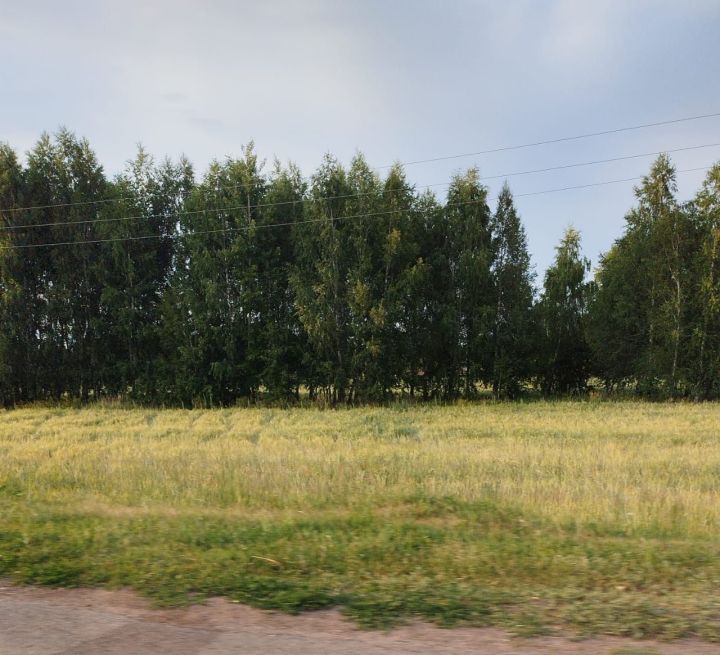 Народные приметы на 4 октября 2024 года: что можно и чего нельзя делать в этот день