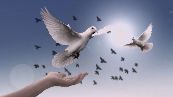 «На волю птичку выпускаю...» — традиция в день Благовещения