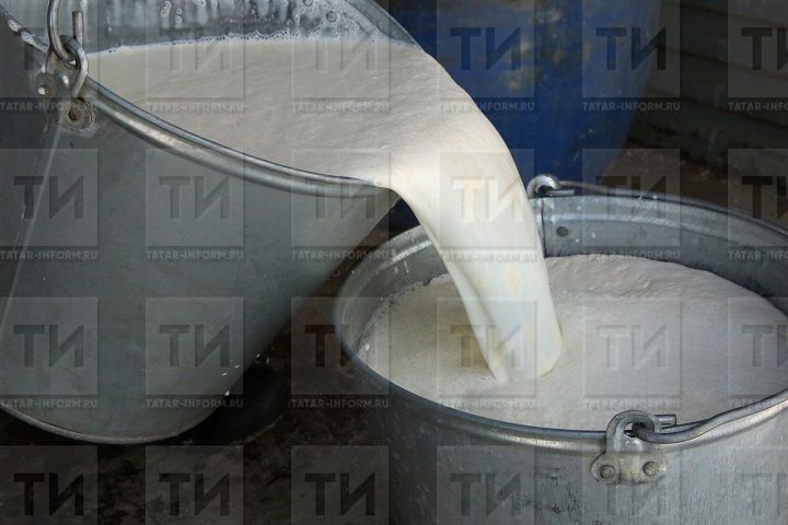 Яңа Чишмә районының алдынгы терлекчеләре