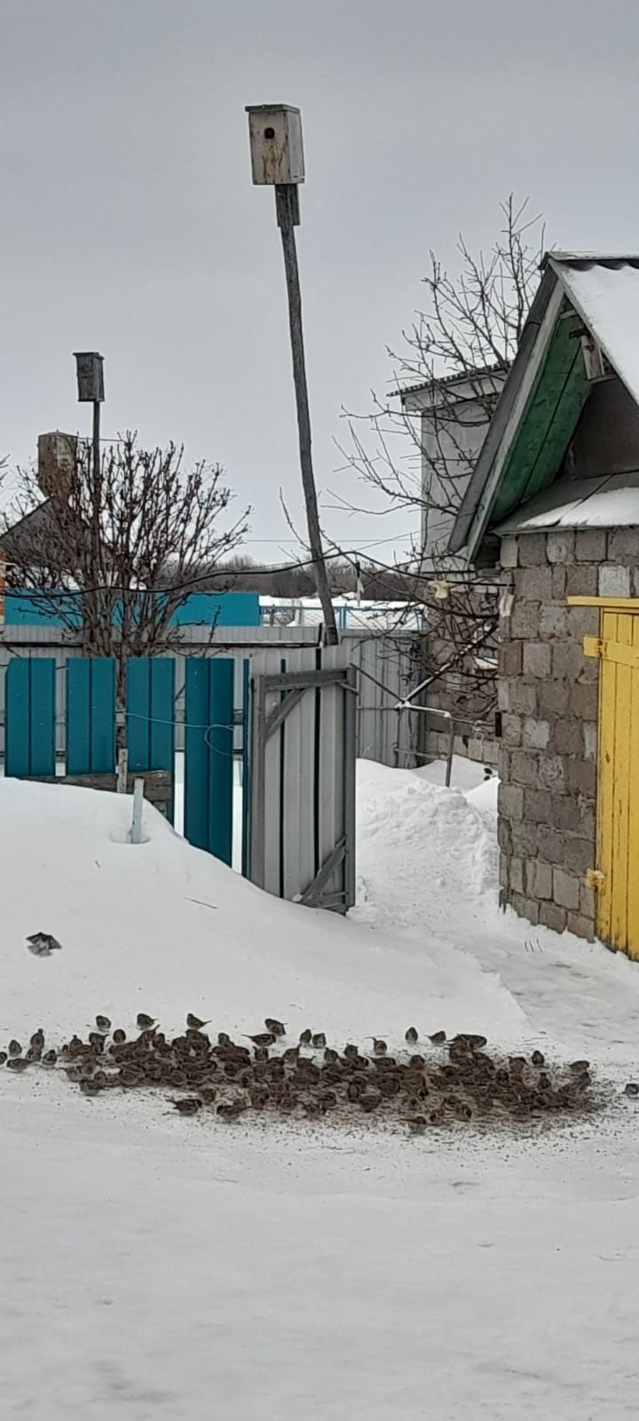 В единстве с природой продолжается жизнь Раиса и  Ильхамии Усмановых  из села Простые Челны