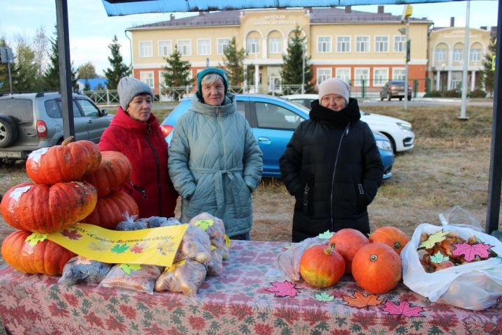 В Новошешминске прошла первая осенняя ярмарка