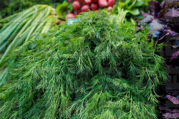 Питание по сезонам: зелень марта
