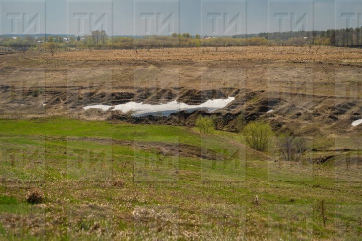 Народные приметы на 17 апреля 2025 года: что можно и чего нельзя делать в этот день