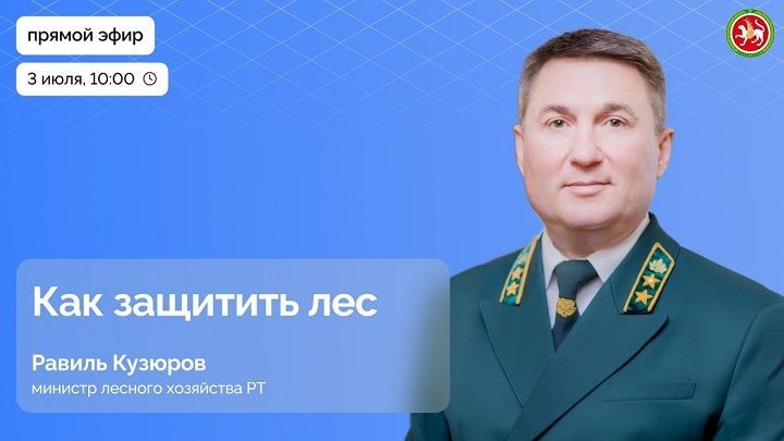 Прямой эфир с министром лесного хозяйства Татарстана: защита лесов и борьба с угрозами