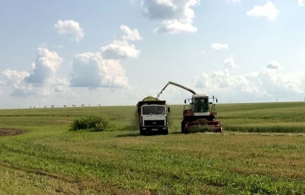 В Новошешминском районе продолжается заготовка кормов