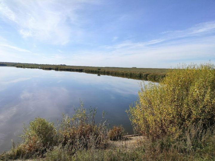 Прогноз погоды на выходные в Новошешминске