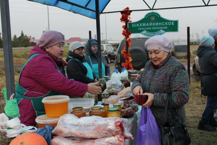Весенние сельхозярмарки в Татарстане начнутся с 14 марта