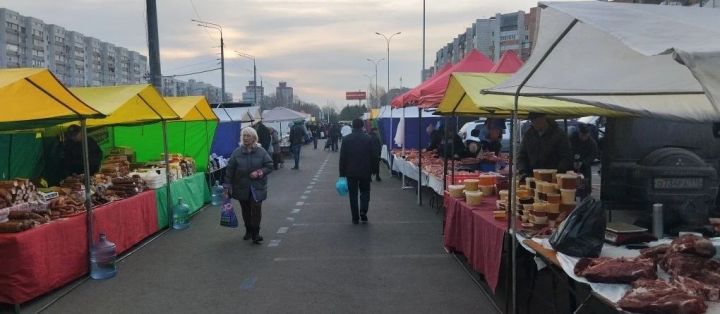 Новошешминцы на ярмарке в Казани