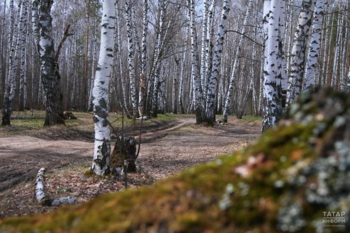Народные приметы на 27 апреля 2026 года: что можно и чего нельзя делать в этот день