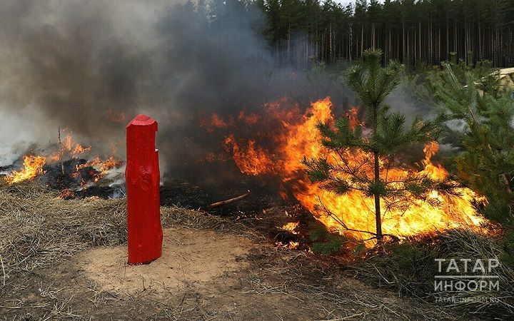 Введен особый противопожарный режим