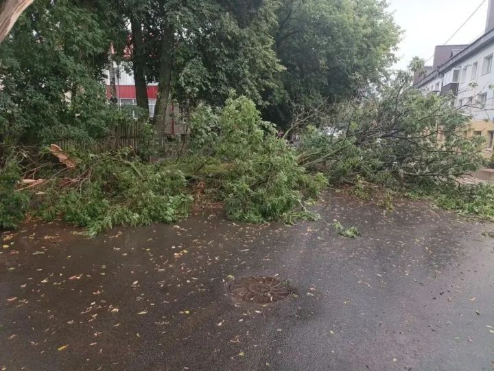 В Чистополе ликвидируют последствия ураганного ветра