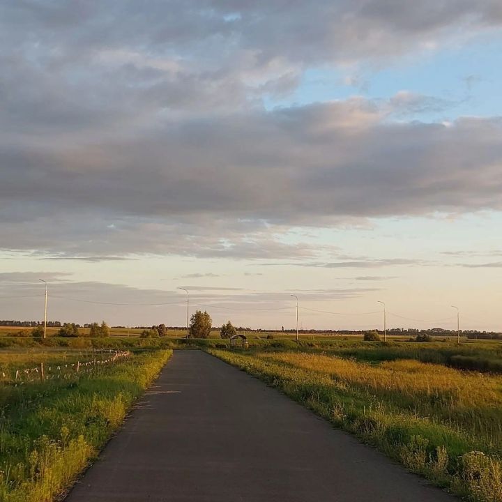 Синоптики прогнозируют дожди и ветер до 12 м/с в пятницу