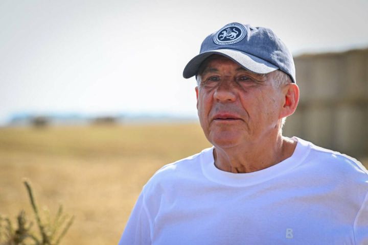 «Человек труда должен быть в авторитете»: Минниханов — о запуске Электронной доски почёта в Татарстане
