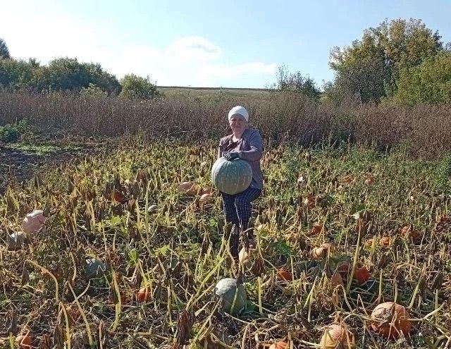 В районе прошла акция «Осенний марафон добра»