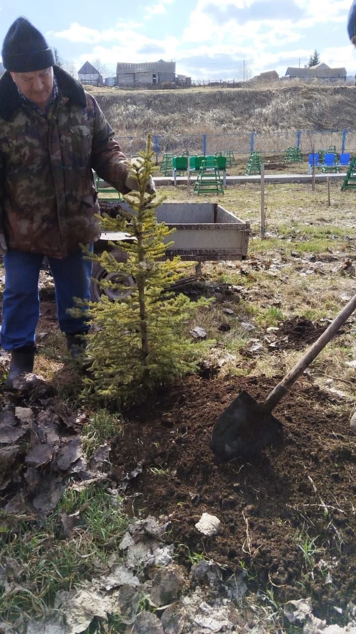 В Шахмайкинском поселении благоустроили территорию у родника «Наил Бабай» В Шахмайкинском сельском поселении активно продолжается двухмесячник по благоустройству. 12 апреля у родника «Наил Бабай» в Шахмайском поселении прошёл массовый субботник. В нем приняли участие  жители деревень Чертушкино, Простые Челны и Шахмайкино. На субботники вышли от мала до велика: школьники вместе с педагогами, бюджетники, активные пенсионеры. Территория была очищена от прошлогодних листьев и мусора, выровнена территория,  на которой планируется открытие памятника участникам Великой Отечественной войны. Кроме того, жителями села Шахмайкино была организована работа  у родника «Наил Бабай». Они  посадили ели, провели обрезку сухих сломанных и подмороженных веток.   Хвойные деревья круглый год очищают наш воздух, наполняют его полезными веществами и дарят окружающей природе особую красоту.