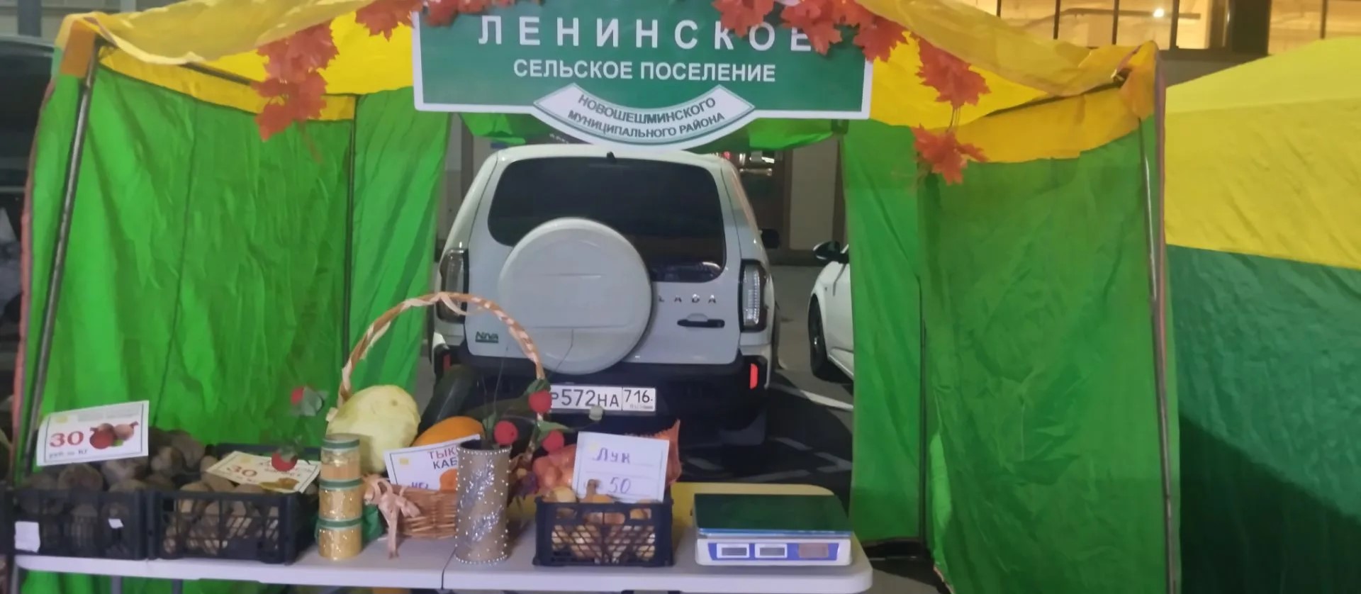 Новошешминцы на очередной ярмарке в Казани