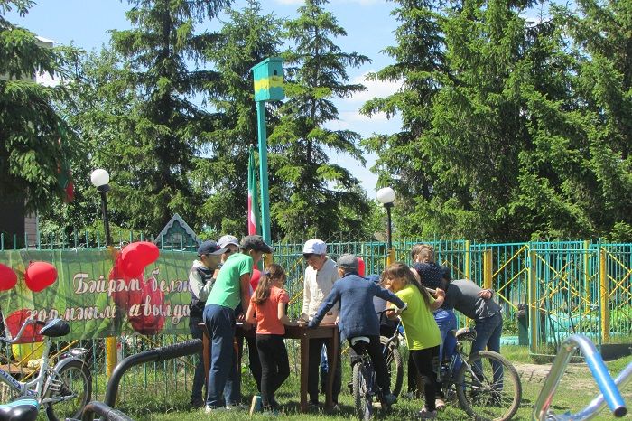 В Просто-Челнинском сельском доме культуры прошли праздничные мероприятия в честь Дня России