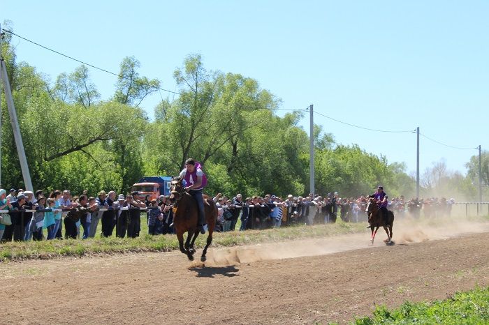 Конные схватки были захватывающими на Новошешминском Сабантуе