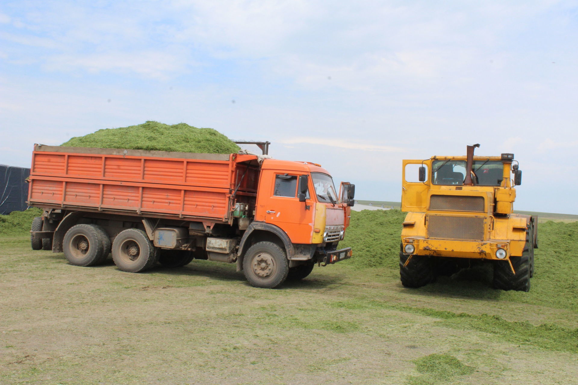 Яңа Чишмә районы аграрийлары терлек азыгы әзерли