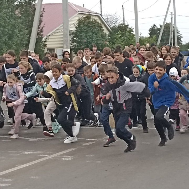 «Татарстан кроссы - 2022» чарасында 300дән артык яңачишмәле катнашты