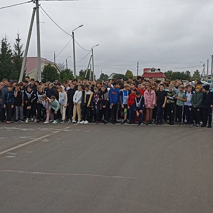 «Татарстан кроссы - 2022» чарасында 300дән артык яңачишмәле катнашты