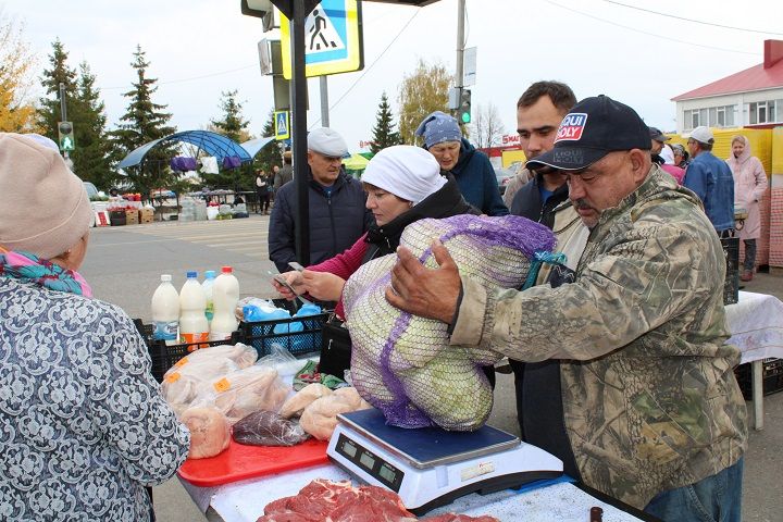 Сайт шешминская новь