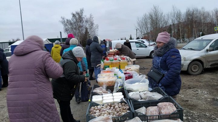 18 ноября в Новошешминске прошла сельскохозяйственная ярмарка (фоторепортаж)