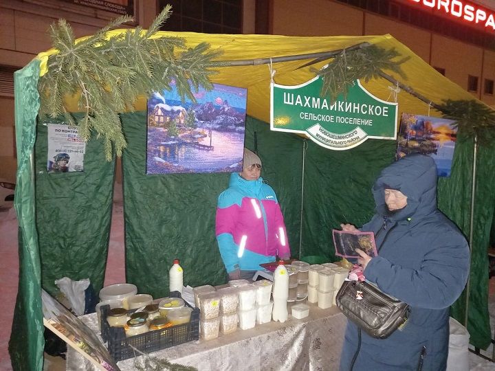 Новошешминцы на ярмарке в Казани