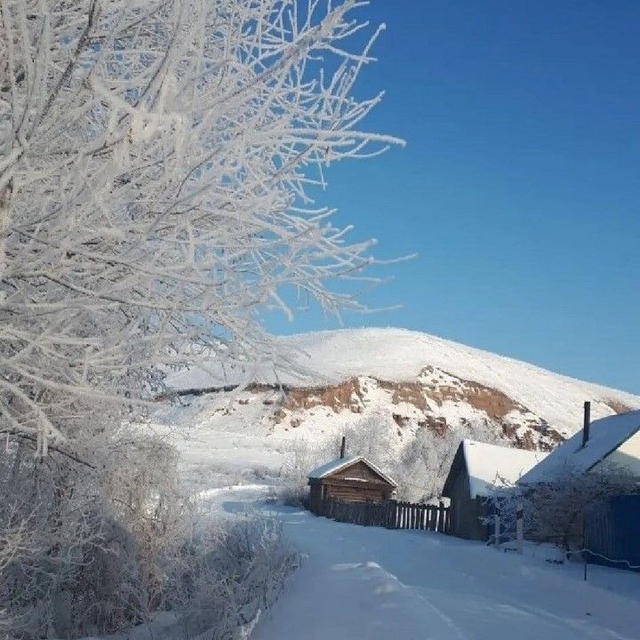 Народные приметы на 16 февраля 2023 года: что можно и чего нельзя делать в этот день