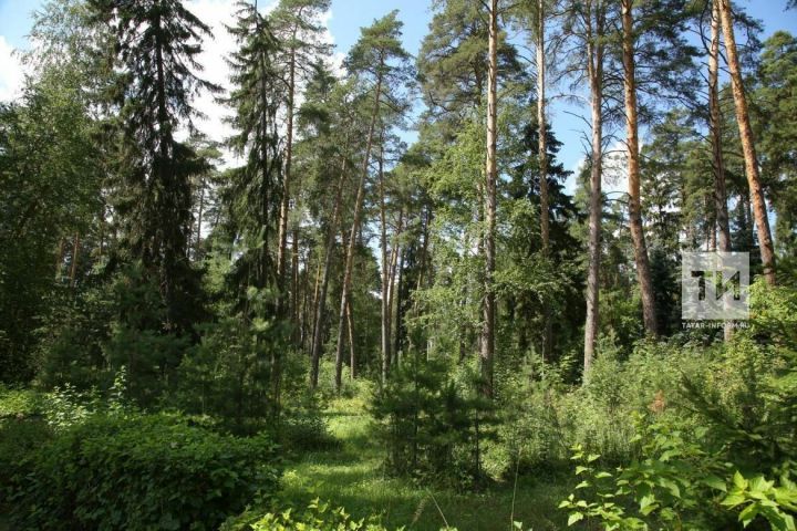 «Горячая линия» Управления Роспотребнадзора по Республике Татарстан по вопросам профилактики клещевых инфекций
