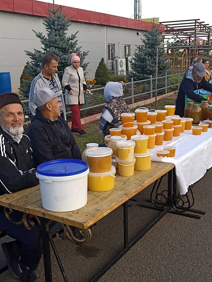 В Новошешминске отпраздновали День Республики