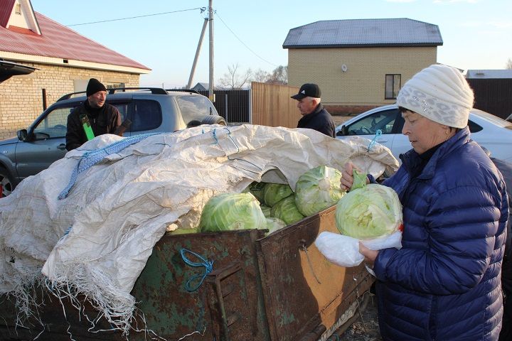 19 октября в Новошешминске прошла очередная сельскохозяйственная ярмарка