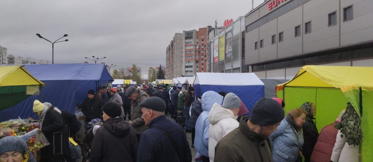 Новошешминские предприниматели на ярмарке в Казани