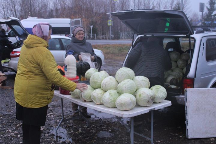 2 ноября в Новошешминске прошла сельскохозяйственная ярмарка (фоторепортаж)