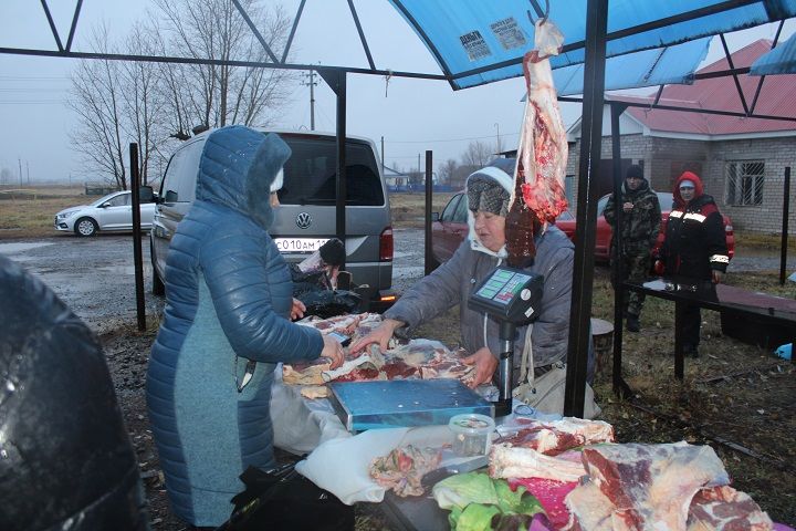 2 ноября в Новошешминске прошла сельскохозяйственная ярмарка (фоторепортаж)