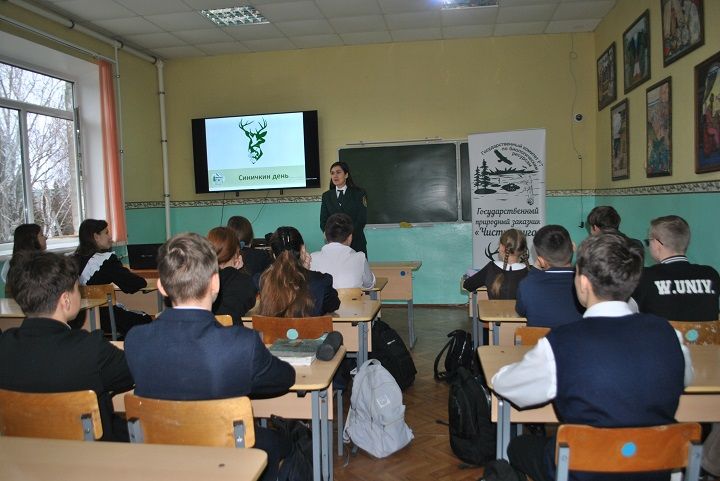 «Синичкин день» прошел в Новошешминске