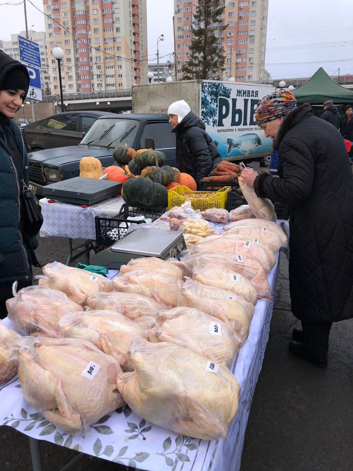 Новошешминцы на ярмарке в Казани