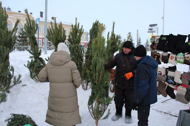 14 декабря в Новошешминске прошла первая предновогодняя ярмарка (фоторепортаж)