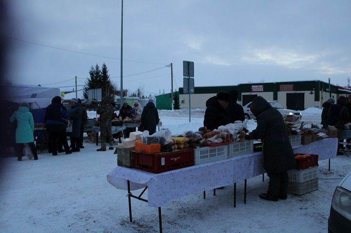 14 декабря в Новошешминске прошла первая предновогодняя ярмарка (фоторепортаж)