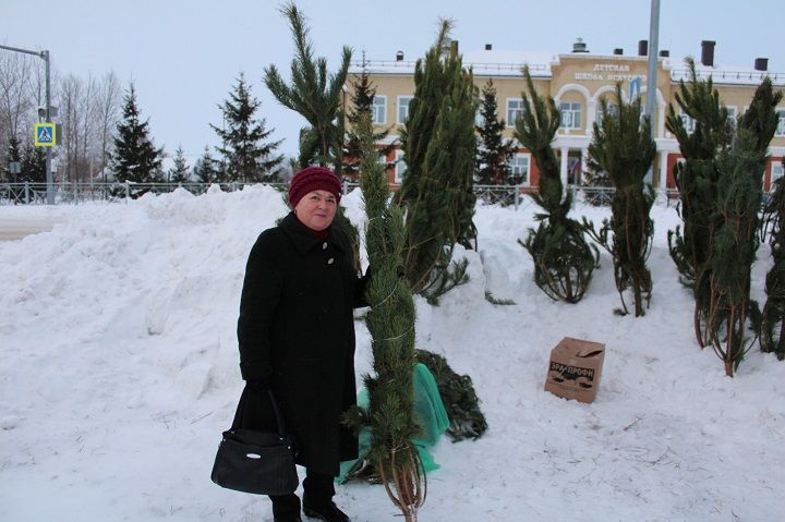 14 декабря в Новошешминске прошла первая предновогодняя ярмарка (фоторепортаж)