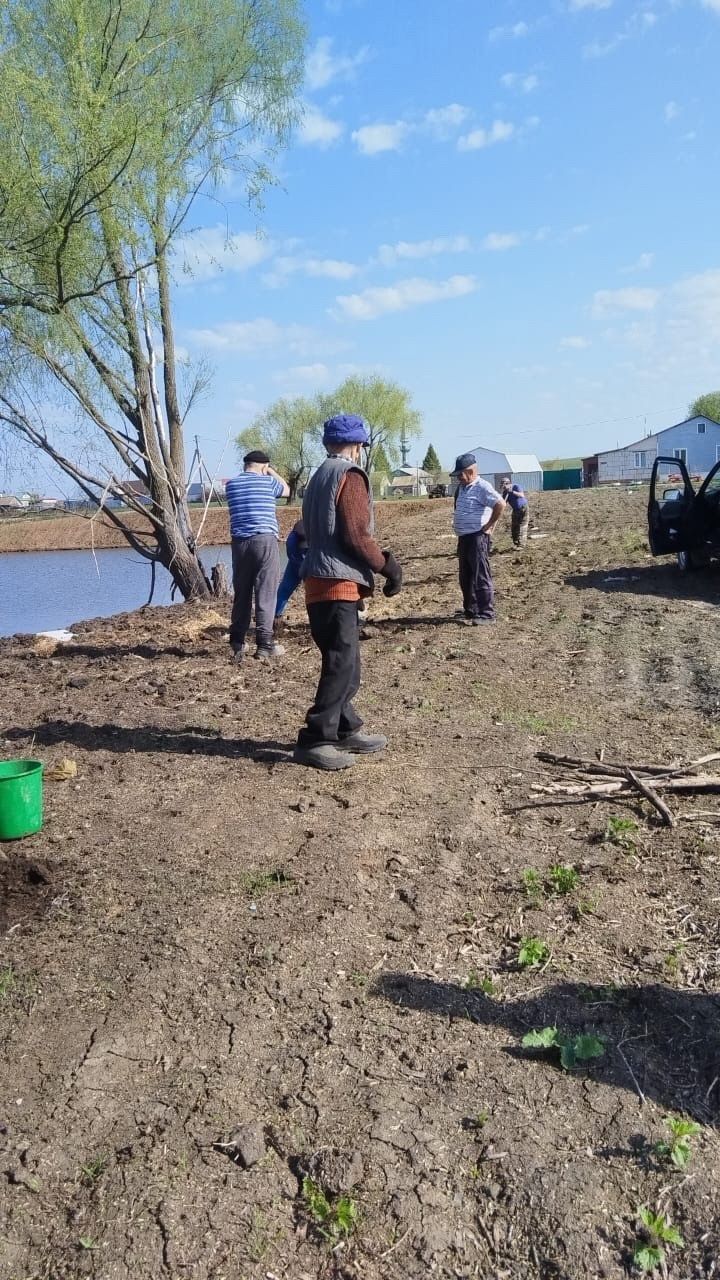 В Шахмайкино проделана большая работа по озеленению