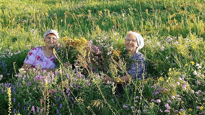 Аромат родных лугов скоро отправится к бойцам СВО