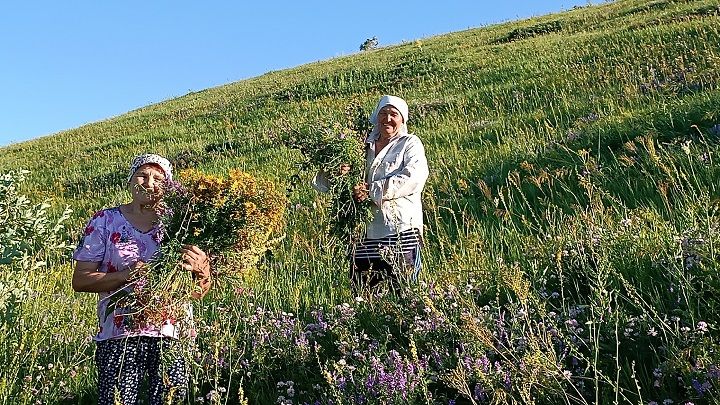 Аромат родных лугов скоро отправится к бойцам СВО