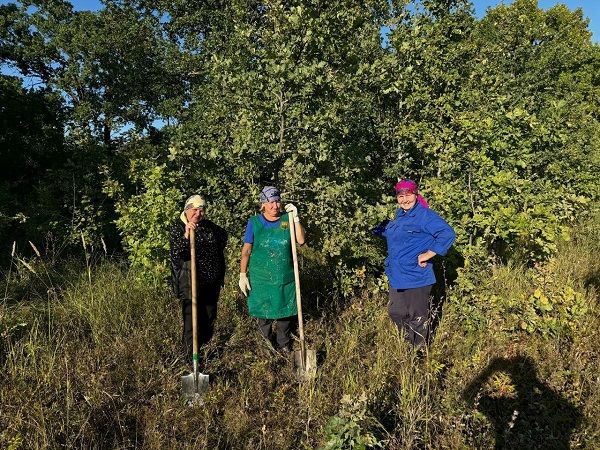 Приняли участие в акции «Посади дерево»