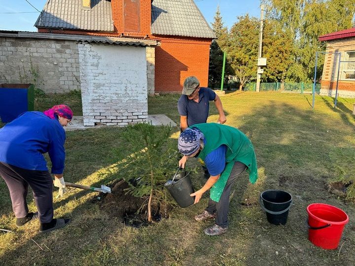 Приняли участие в акции «Посади дерево»