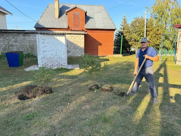 Приняли участие в акции «Посади дерево»