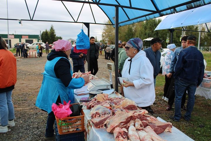 Сезон ярмарок открыт