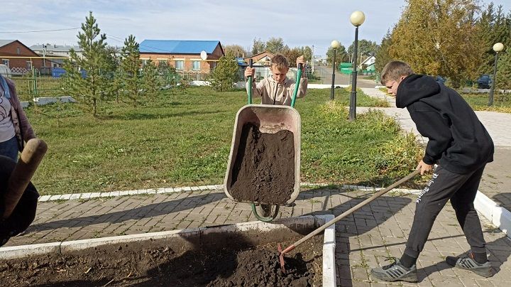 На аллее памяти в Красном Октябре высадили тюльпаны